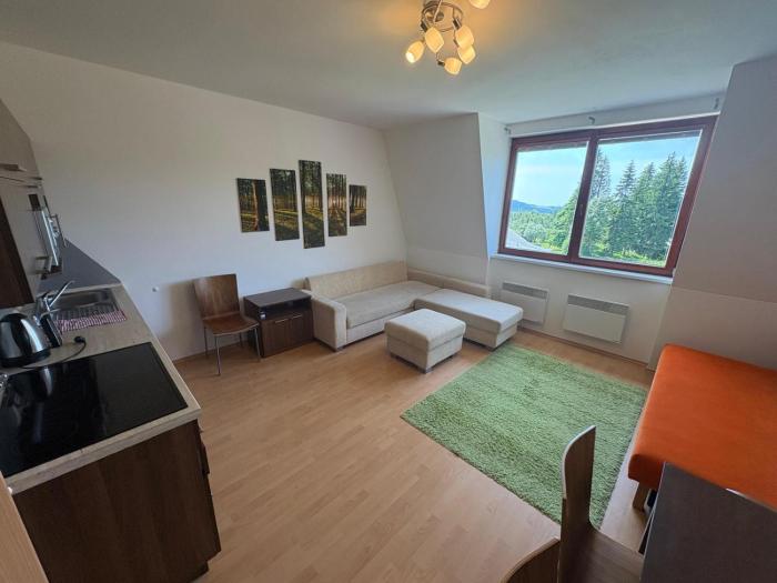 Apartmán Ramzová Comfort
