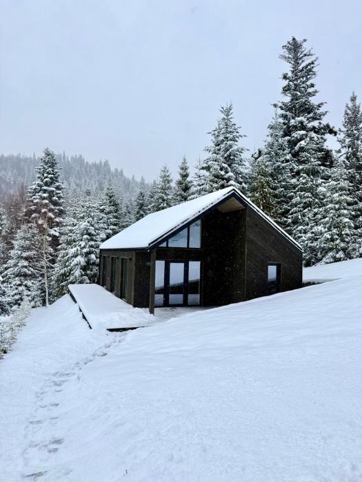 Cottages Shepit Lisu New