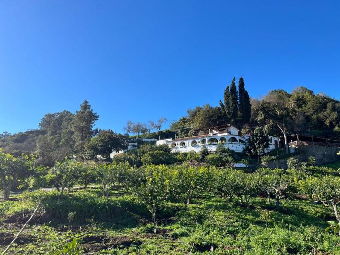 Citrus Finca LosArcos Canarias-back to nature