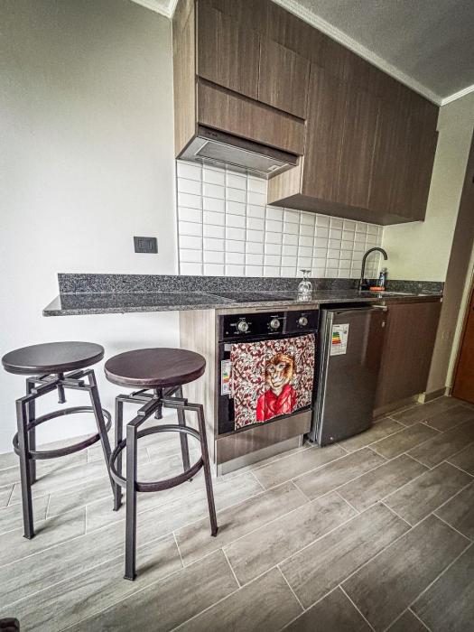 Apartment in Valdivia steps from the waterfront