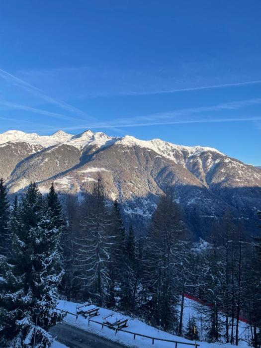 Appartamento panoramico con vista sulle montagne e accesso diretto alle piste