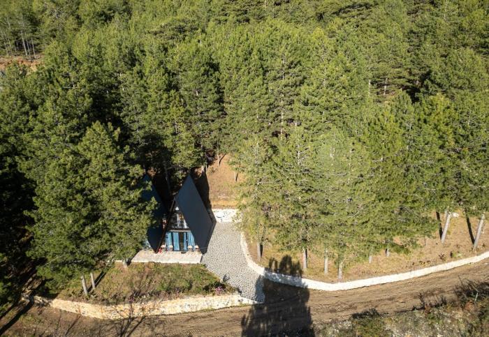 Golden Cabin 3 Gjinar by PikHost