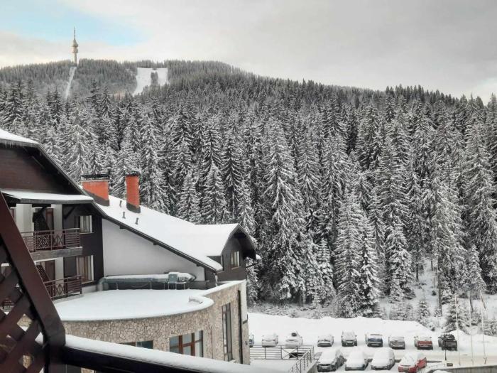 Pine forest apartments