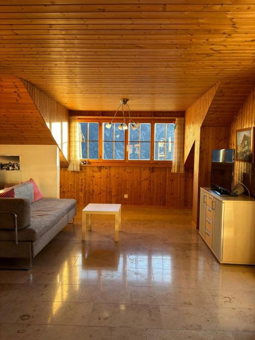 Sunny Appartement with a beautiful view in Alvaneu Dorf