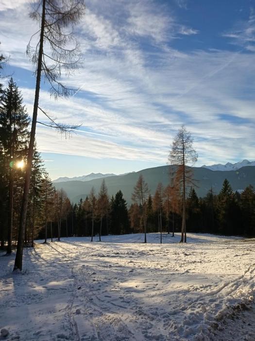 Apartment Panorama Val di Non