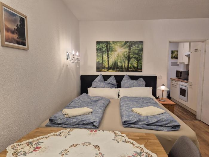 NaturBlick am Rothaarsteig neue moderne Ferienwohnung mit 2 Badezimmern 2 Küchen inklusive Highspeed Internet Flatrate 2x XXL Boxspringbett 2x Terrassen und 2x PKW Parkplätze 10 Minuten bis Willingen Ideal für Touristen und Geschäftsleute mit MWS