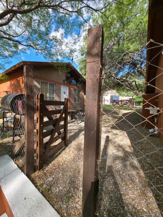 Los cuatro algarrobos