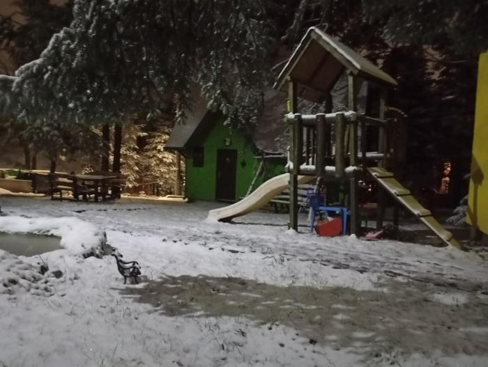 Петра Дивчибаре Petra Divčibare