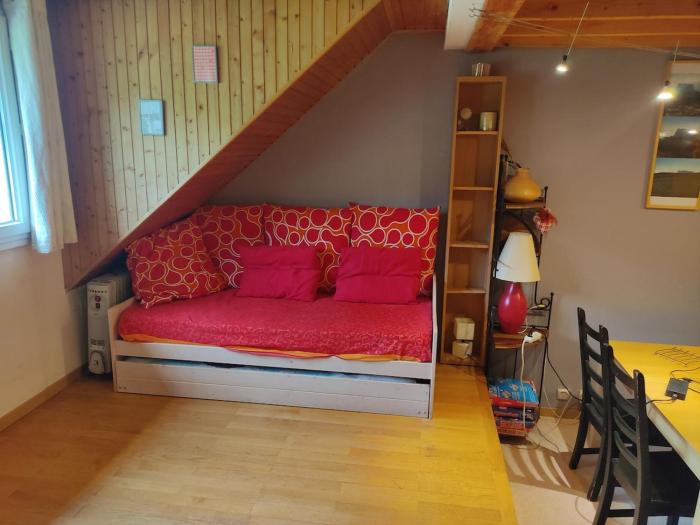 Duplex de 55m2 dans le centre de Lans-en-Vercors