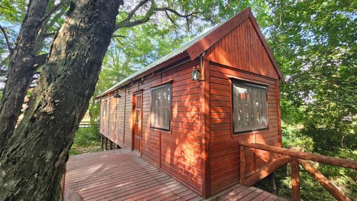 Cabaña Natural Del Bosque