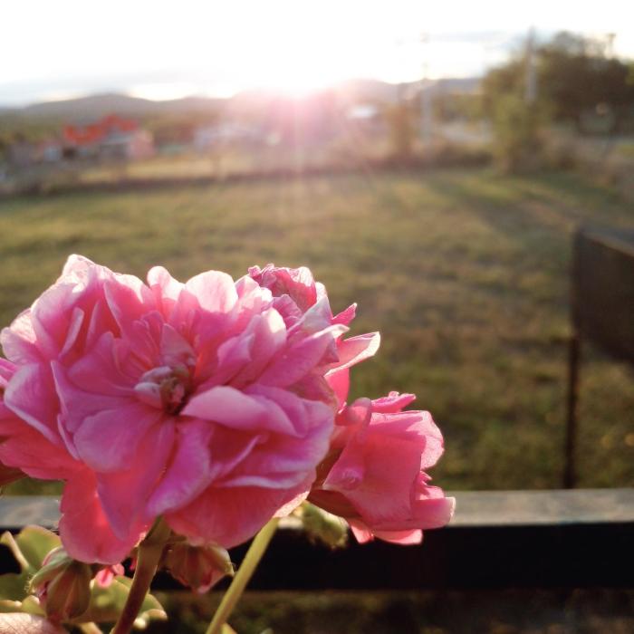 Valle de Luz Planta Alta