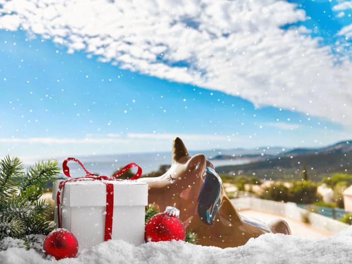 STUDIO POOL HOUSE 2 ETOILES VUE MER PANORAMIQUE AMAZING SEA VIEW WIFI LINGE LINEN INCLUS AIRCONDITIOn