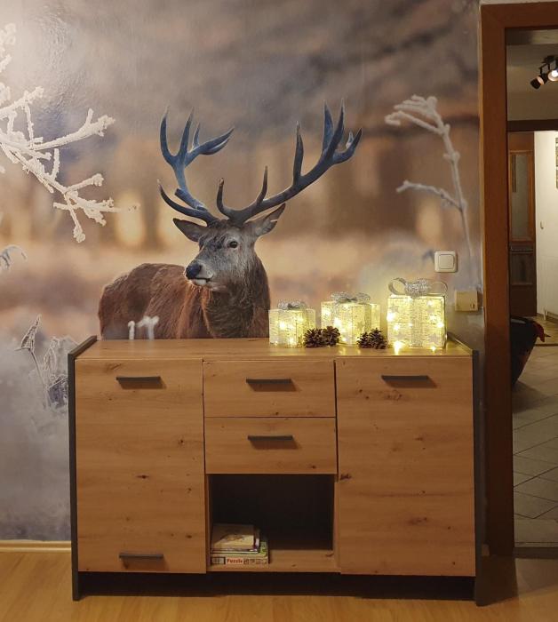 LECHUFER, 80m2, Haushälfte mit privatem Eingang, Kaminofen, Terrasse, Garten