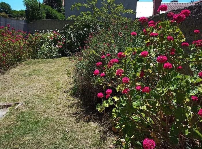 Miramar costa Atlántica alquiler temporario casa para 10 personas exelente ubicación a Dos cuadras de la playa y cuatro del centro