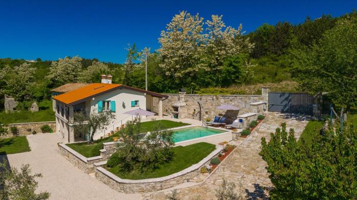 Beautiful Villa Cartolina with pool in Buje