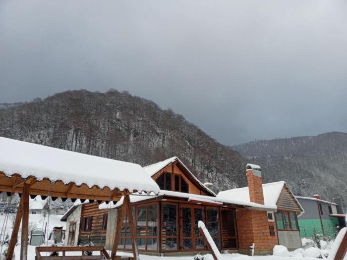 Будинок в горах, відпочинок, котедж, чан, сауна, Буковель