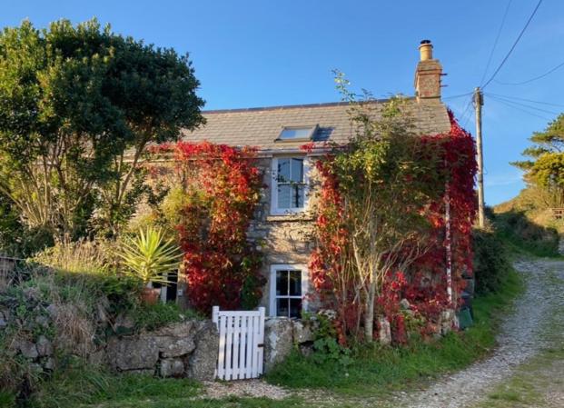 Beautiful Rose Cottage