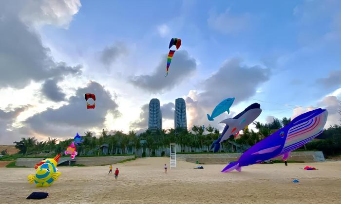 Bliss Driftwood Retreat By Mandala