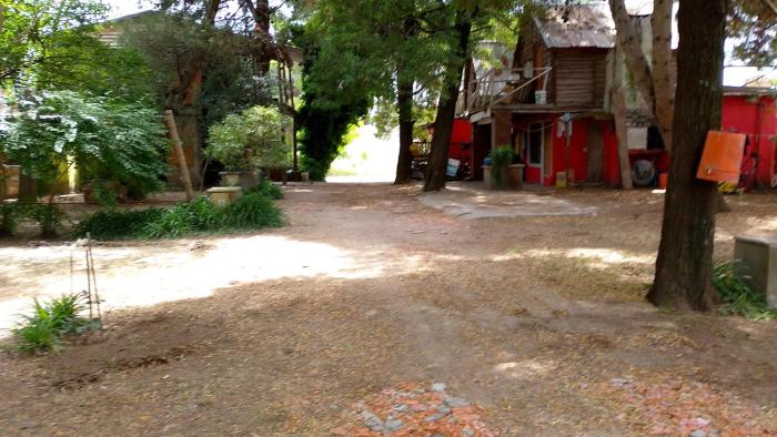 Camping y cabañas pehuen