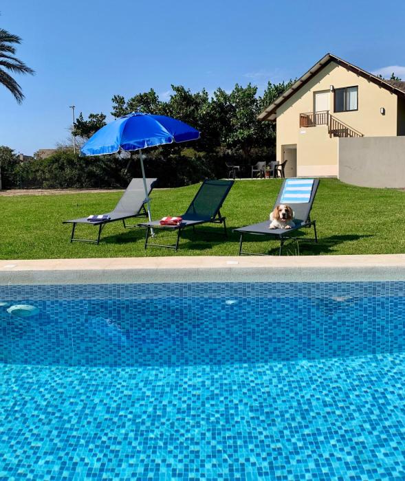 Cozy Home with Huge Lawn and Pool - WiFi