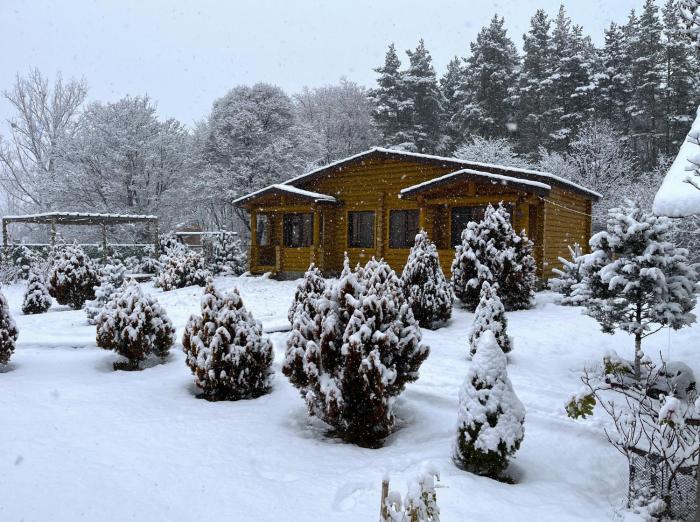 Kingswood Cabins Borjomi