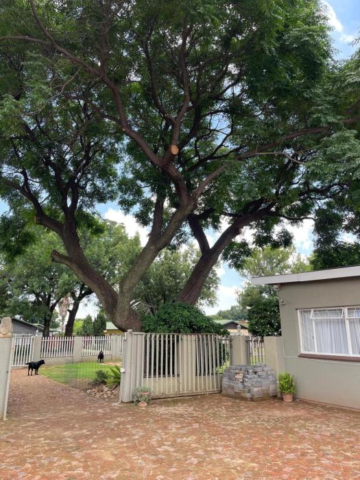 Shady Seringa Accommodation