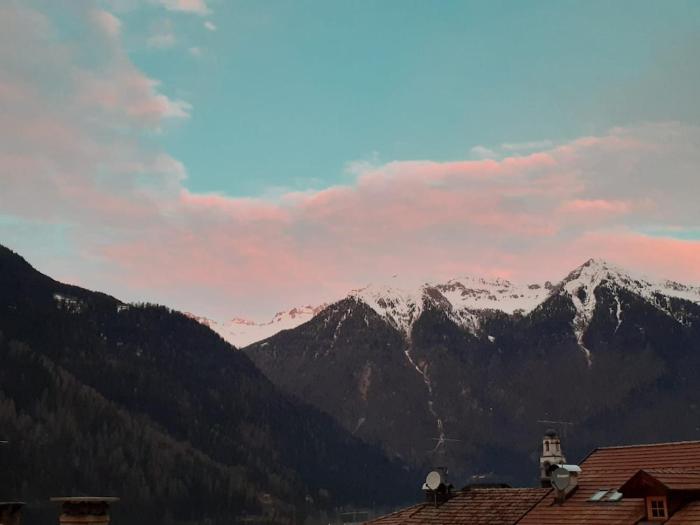 Appartamento vintage mountain premium