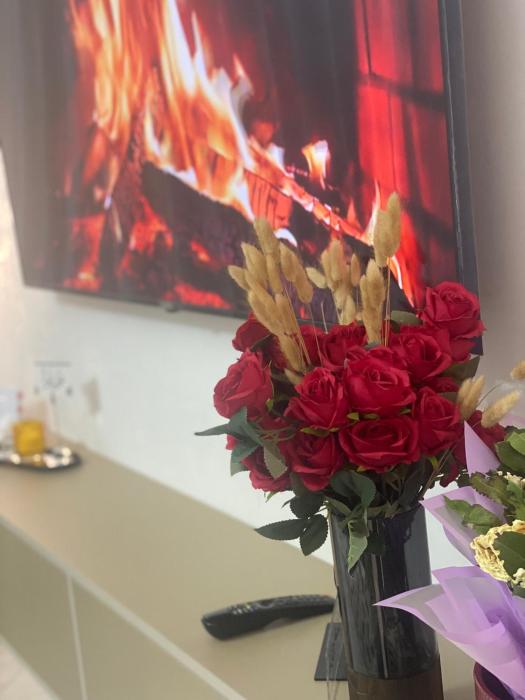 شقة فخمة وهادئة