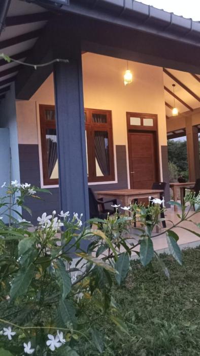 Wild Night Hostel Sigiriya