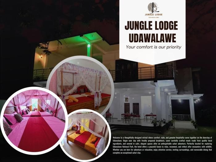 Jungle Lodge