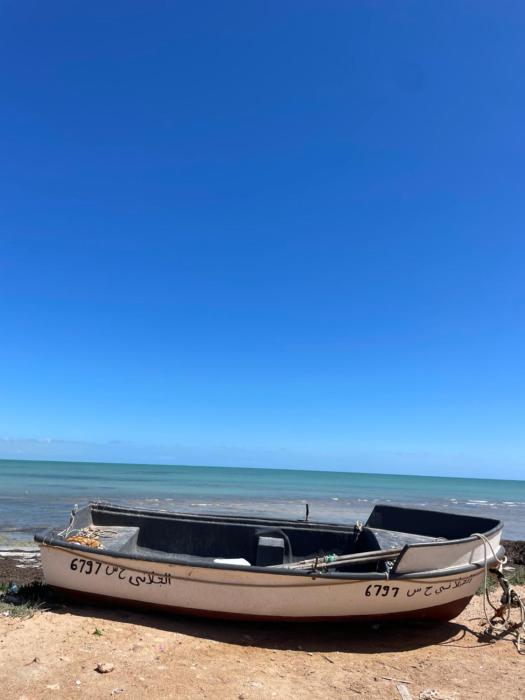 Dar Sara - Beach Appartement