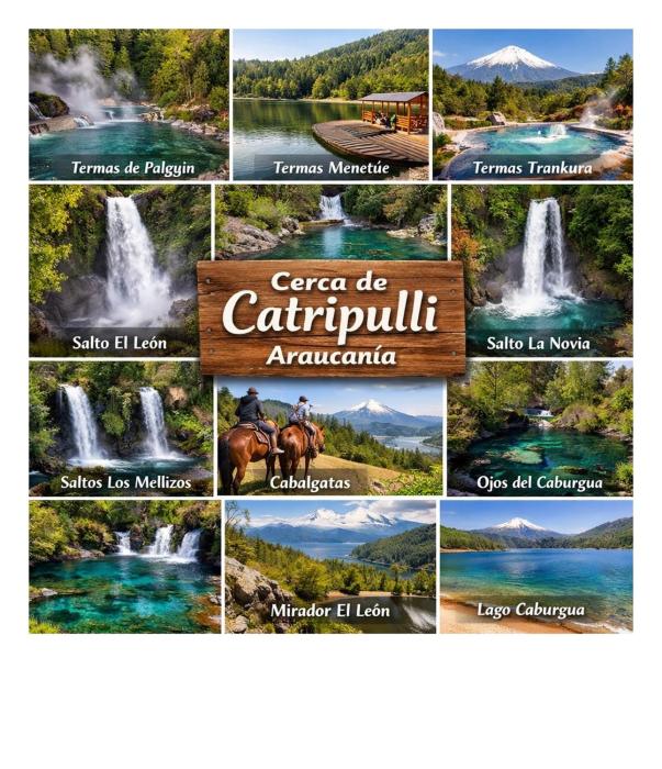 Relajo en plena naturaleza