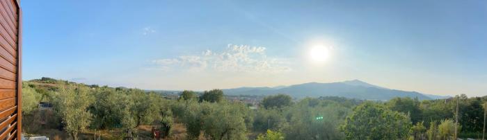 La Collina Degli Ulivi