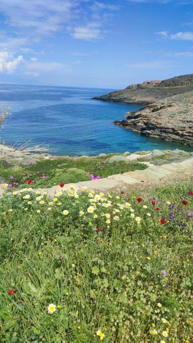 Waterfront villa with private pool and seaview