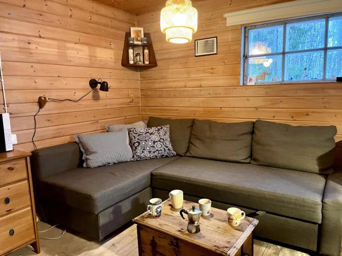 Lake cabin with rowing boat