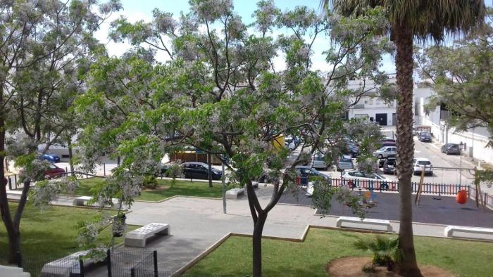 Apartamento en Conil de la Frontera ubicado en en una zona tranquila y muy bien situada para disfrutar del pueblo y de la playa sin necesidad de coche SOLO PARA FAMILIAS Y PAREJAS