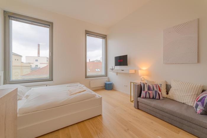 Lumière Studio by Rentez