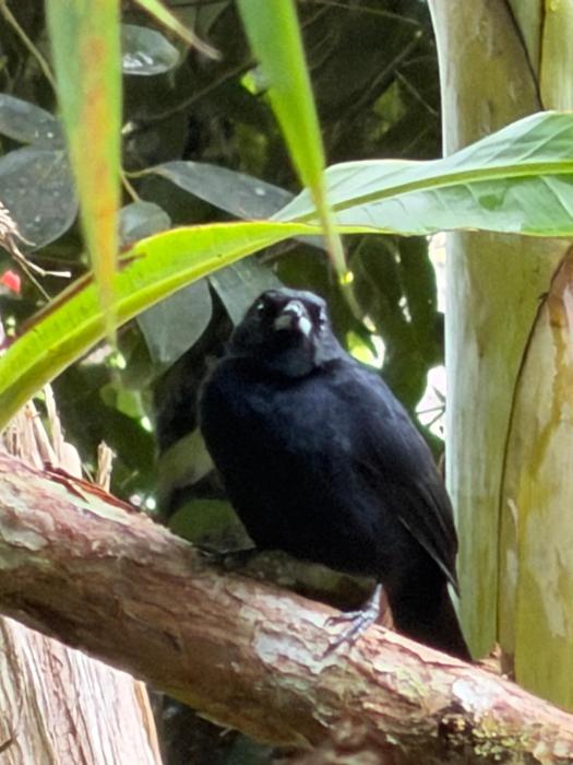 cabaña grande ecopolis hospedaje