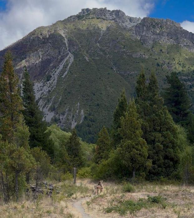 Cabañas san francisco