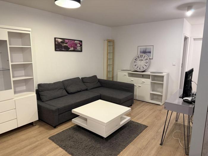 University Apartment