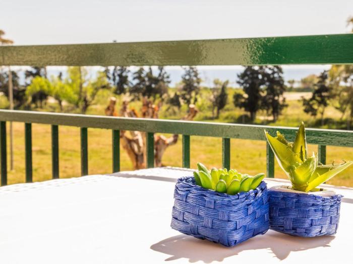 Apartment Studio mit Korallenblick in Chianchitta-Pallio by Interhome