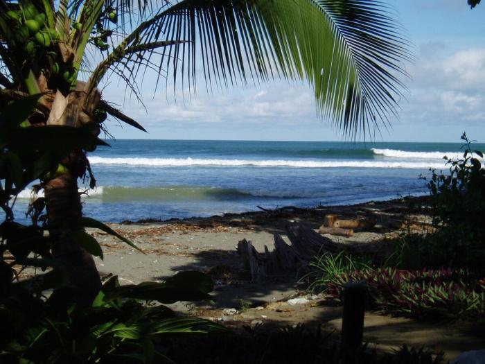 New Beachfront Jewel in the Jungle on Golfo Dulce