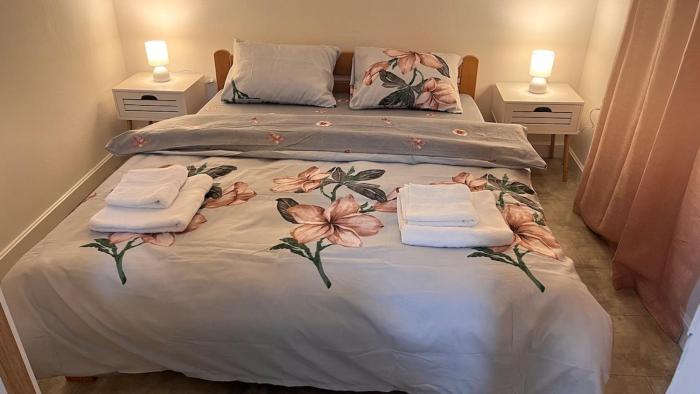 Apartment Aleksic