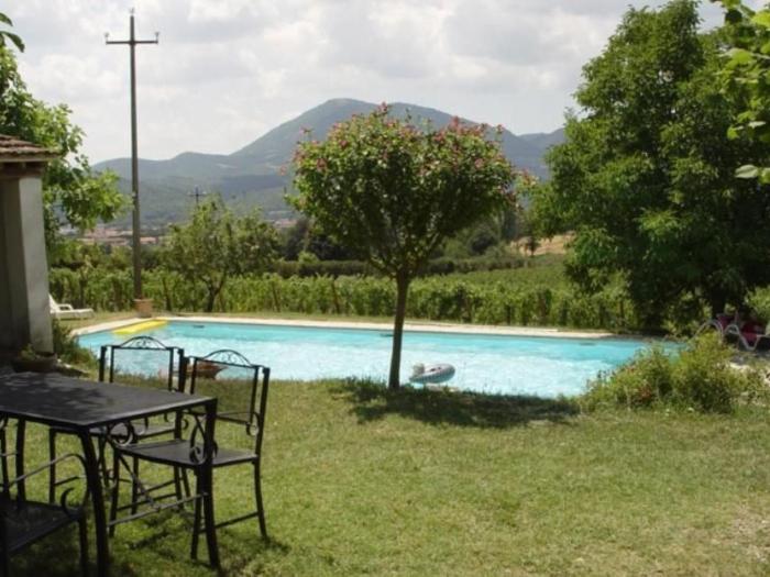 Apartment Agritourismus Vigne di Pace - Il Molino by Interhome