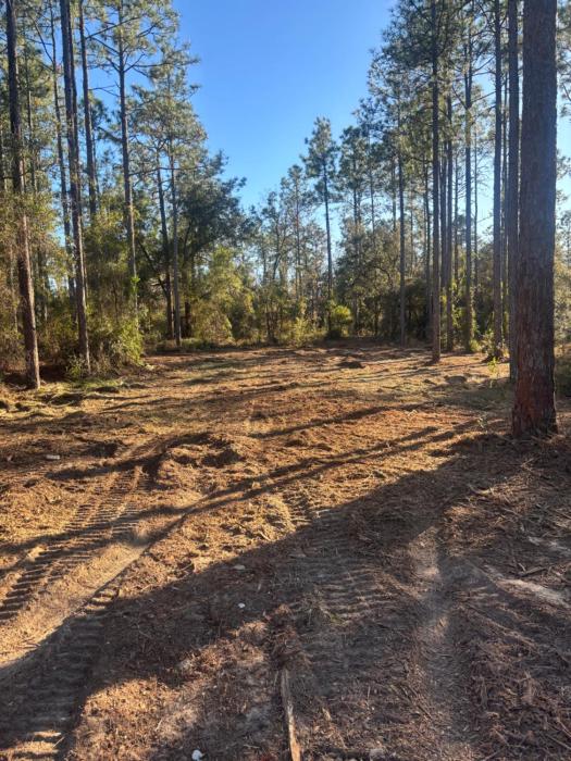 Nice 4,000 sqft vacant lot perfect for camping or weekend get away will need to bring your own tent or camper