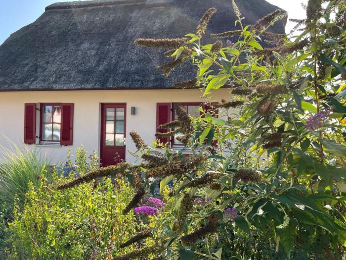 Reethaus Lütt Seeadler