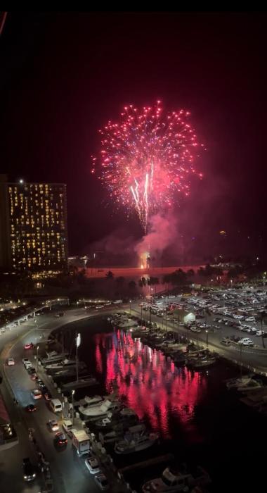 Ilikai Marina Ocean View #1492