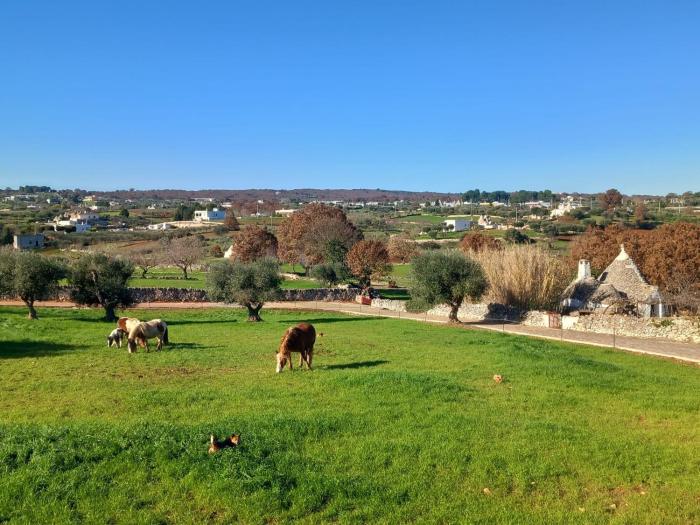 Casa tra i Trulli