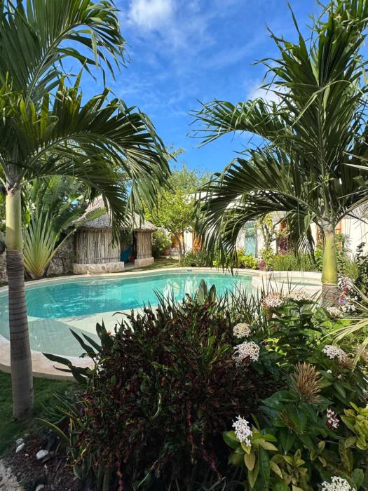 Campeche Mágico Old