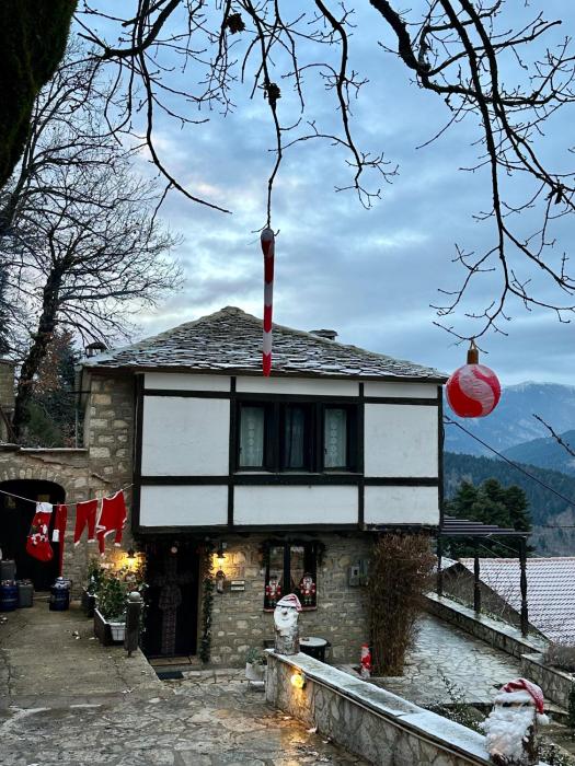 ΤΟ ΑΡΧΟΝΤΙΚΟ